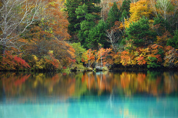 The scenery of beautiful autumn leaves in Japan The scenery of Nikko Yunoko like a painting