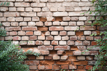 textured wall of painted red brick with green twigs on the edge