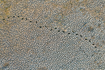 footprints on thirst-cracked land