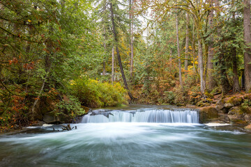 Whatcom Falls Autumn