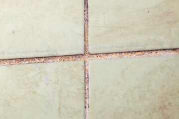 Mold growing on shower grouted joints tile and appear on the ceramic wall in bathroom corner
