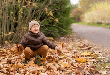 A little boy jumps in the autumn foliage and throws up the leaves