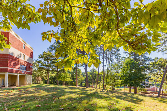 Sunny Exterior View Of The Campus Of University Of The Ozarks