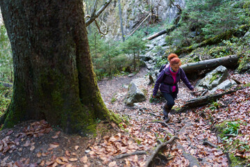 Fototapeta premium Woman hiking on a trail in the mountains