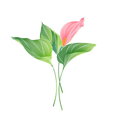 Vector floral background with 
anthurium flowers and green leaves.