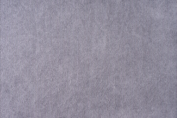 Fototapeta na wymiar Texture background of velours gray fabric. Upholstery velveteen texture fabric, corduroy furniture textile material, design interior, decor. Ridge fabric texture close up, backdrop, wallpaper.