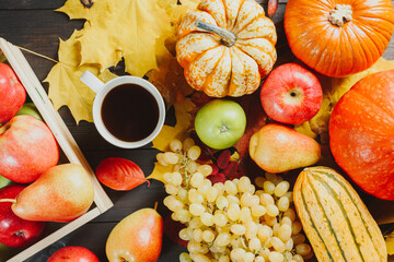 Ripe apples in a box with pumpkins, apples, grapes, pears and cup of coffee on dark wooden background. Autumn seasonal image. Top view