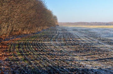 view of a winter field
