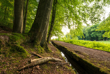 Idyllic footpath along the “Stadtwasser” ditch in Schwalenberg, Teutoburg Forest, North-Rhine Westphalia