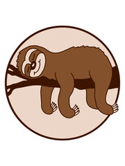 Faultier entspannt auf Ast 