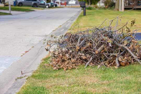 Branch and limb pile along street. Curbside branch pickup, collection, and yard waste disposal concept.