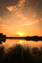 Fototapeta na wymiar Beautiful summer landscape. The sun setting over the lake.