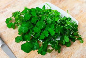 Fresh cilantro herbs on wooden background, vegetable ingredients for cooking