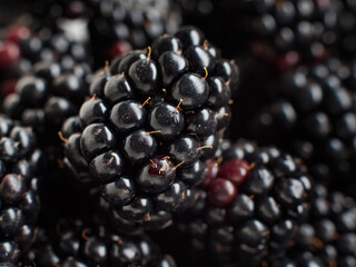 Delicious and healthy ripe blackberry (Rubus allegheniensis)