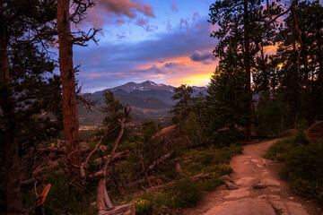 Mountain Trail