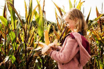 girl holding a corn on the cob in a maize field in autumn