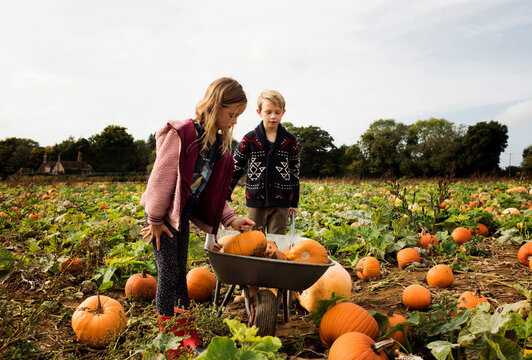 boy and girl pushing a wheelbarrow at a pumpkin festival