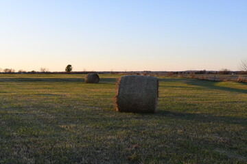 Hay Bales in a Farm Field