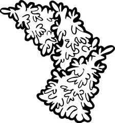 Christmas tree decorative vector element, empty natural without decoration. Hand drawn illustration Xmas template for postcard design, party invitation. New Year eve symbol, cartoon style line drawing