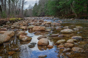 Center of a river streaming water through large stones and boulders in a forest. Vibrant river landscape during Autumn season. 