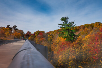  A colorful Autumn view on Cantilever bridge in Walkway Over the Hudson State Historic Park with...