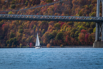 An Autumn view of the mid-Hudson bridge in New York state with a sail boat in the river