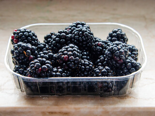Plastic shell of delicious and healthy ripe blackberry (Rubus allegheniensis)
