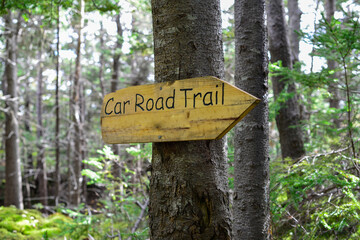 A car road trail sign with black text on a yellow natural board nailed to a large tree. The sign points to the right and is in the shape of an arrow. There are trees in the woods behind the signboard.