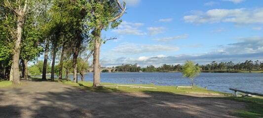 lake and trees