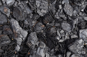 Burnt pine bark after a fire. Can be used as black abstract background with copy space.