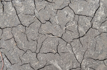 Dehydration depletion of the earth's surface. Concept of global environmental problems. Can be used as grey abstract background with copy space.