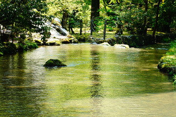 京都　上賀茂神社　明神川　ならの小川の風景