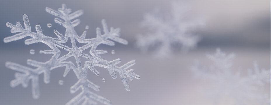 Snowflake Festive Background. Elegant, Icy Winter Banner with copy-space.