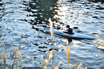 ススキとカヌー