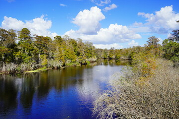 Fototapeta na wymiar Landscape of Hillsborough river at Lettuce lake park in autumn