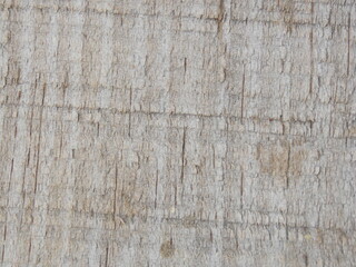 wood texture