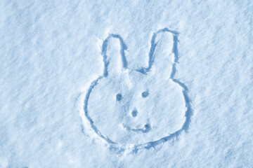 雪に描かれたウサギの絵