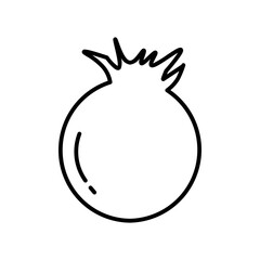pomegranate line icon
