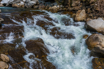 Kunthipuzha at Virgin valley