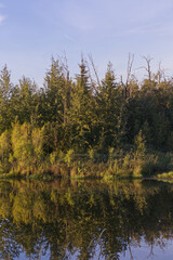 Obraz premium Summer Evening at Pylypow Wetlands