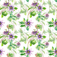 Passion flower plant watercolor seamless pattern isolated on white