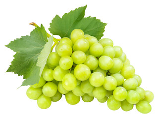 Bunch of Green Grape with leaves isolated on white background, Sweet Green  Grape on a branch on white PNG File. - obrazy, fototapety, plakaty