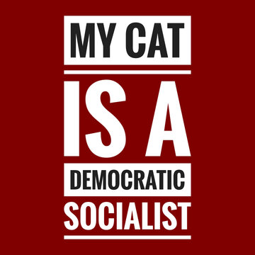 My Cat Is A Democratic Socialist With Maroon Background