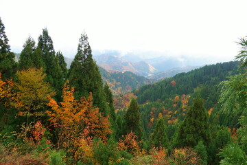 紅葉が美しいおにゅう峠