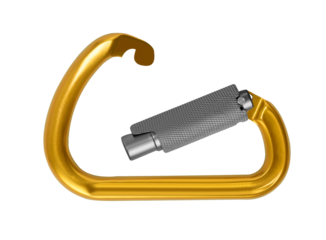 gold carabine isolated