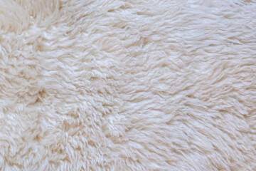 Close up white fur texture or carpet for background