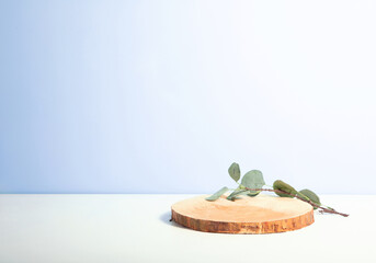 Wood podium saw cut of tree on blue background with eucalyptus.