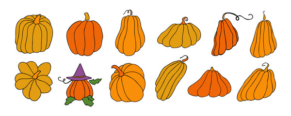 Autumn design template, hand drawn pumpkins, flat vector illustration