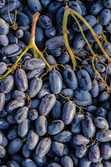 Fresh grapes are sold in the market