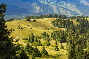 Summer mountain landscape high in the mountains. Tall trees of Christmas trees, ski lift at the ski...